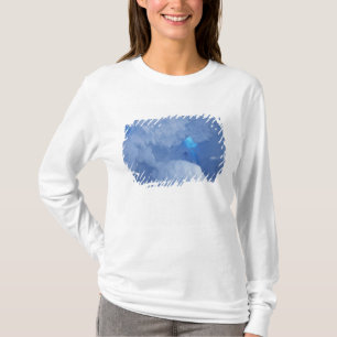 Antarktika, Ross-Insel, Kap Evans, Schneehöhle T-Shirt