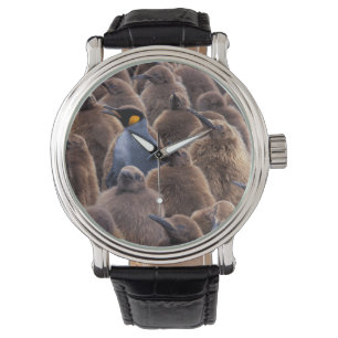Antarktika, South Georgia Island, Königspinguine Armbanduhr