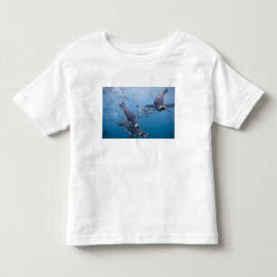 Antarktika, South Georgia Island (UK), 2 Kleinkind T-shirt