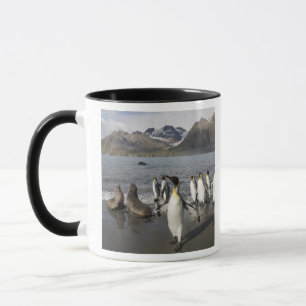 Antarktika, South Georgia Island (UK), Antarktis 2 Tasse