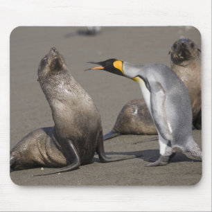 Antarktika, South Georgia Island (UK), König 3 Mousepad