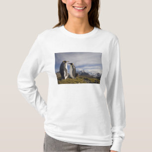 Antarktika, South Georgia Island (UK), König T-Shirt