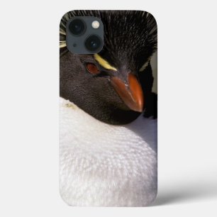 Antarktika, Subantarktische Inseln, Süd 5 iPhone 13 Hülle