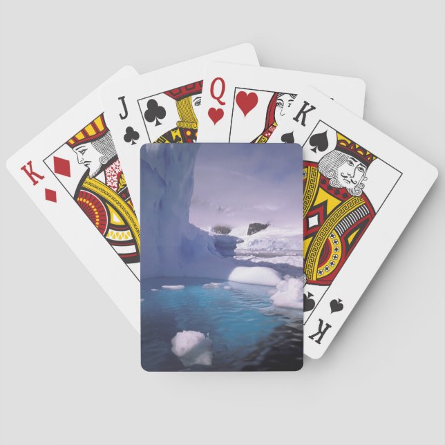 Antarktis Antarktis 2 Spielkarten (Rückseite)