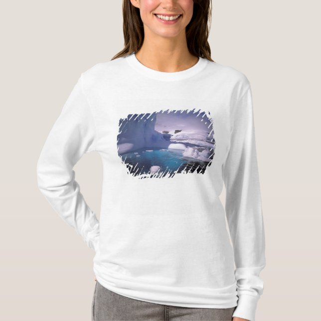 Antarktis Antarktis 2 T-Shirt (Vorderseite)
