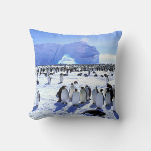 Antarktis, Antarktis, Halbinsel Weddell Sea 5 Kissen