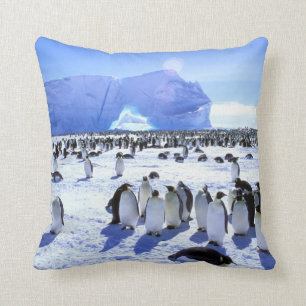 Antarktis, Antarktis, Halbinsel Weddell Sea 5 Kissen