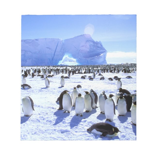 Antarktis, Antarktis, Halbinsel Weddell Sea, 5 Notizblock (Vorderseite)