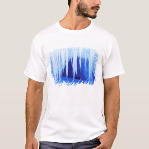 Antarktis, australisches Antarktis-Gebiet.  2 T-Shirt