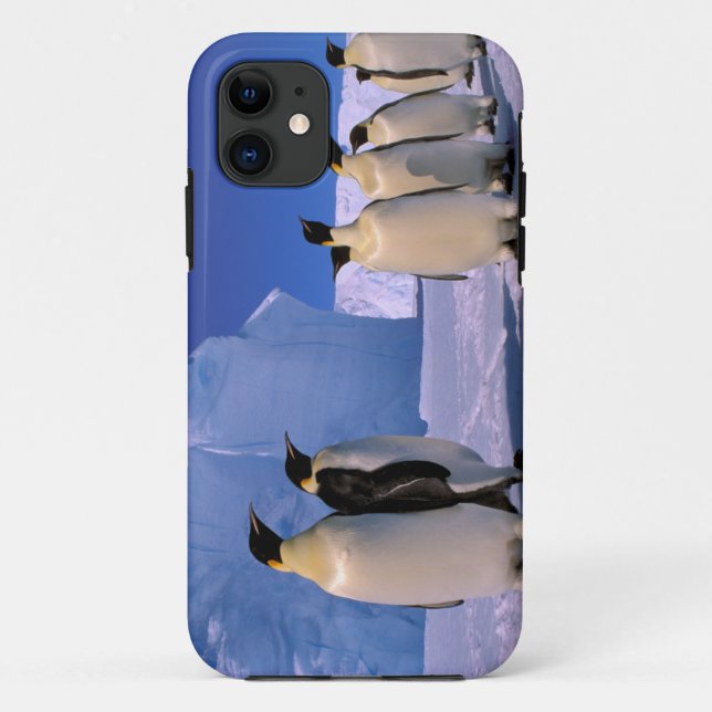 Antarktis, Australisches Antarktis-Gebiet, 7 Case-Mate iPhone Hülle (Rückseite)