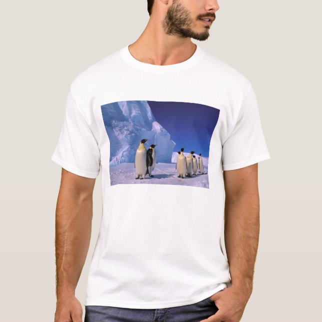 Antarktis, Australisches Antarktis-Gebiet, 7 T-Shirt (Vorderseite)