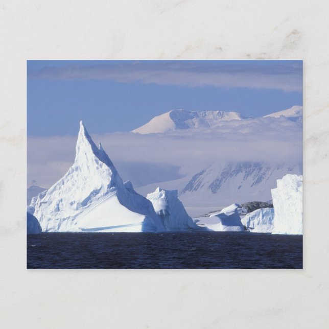 Antarktis, Boothe Island, Nachmittagssonne Postkarte (Vorderseite)
