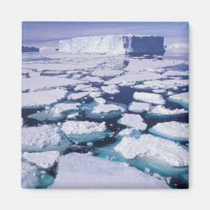 Antarktis, Eisfluss. Magnet