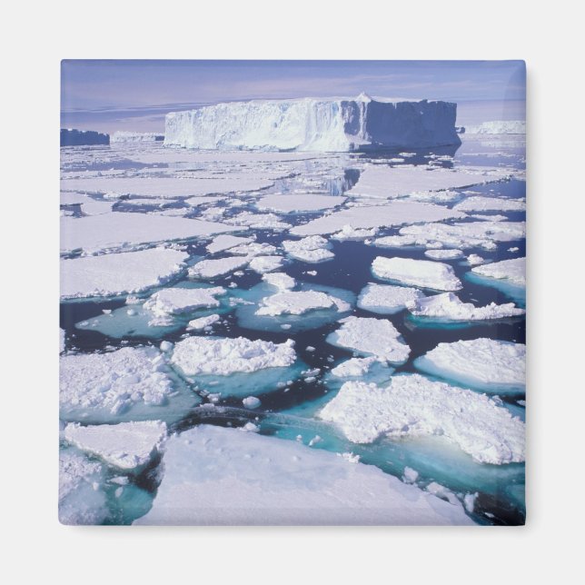 Antarktis, Eisfluss. Magnet (Vorne)