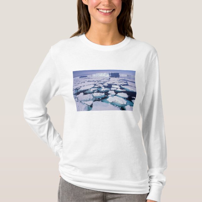 Antarktis, Eisfluss T-Shirt (Vorderseite)