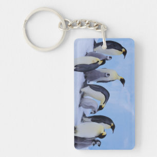 Antarktis, Emporer-Pinguine Schlüsselanhänger