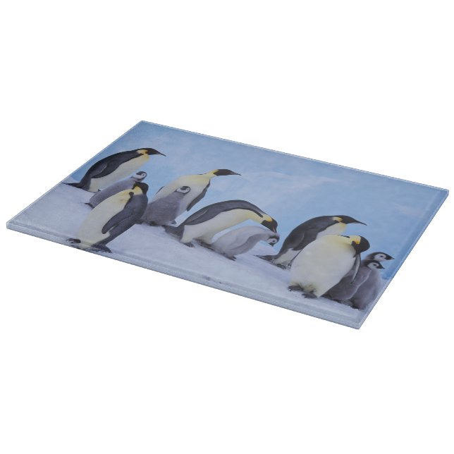 Antarktis, Emporer-Pinguine Schneidebrett (Ecke)