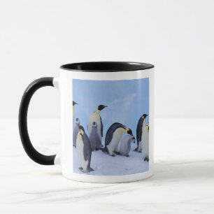 Antarktis, Emporer-Pinguine Tasse