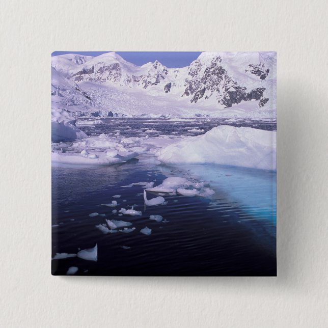 Antarktis Expedition durch Eisschilde Button (Vorderseite)