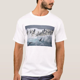 Antarktis, Insel Paulet. Adelie Pinguine T-Shirt