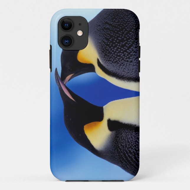 Antarktis, Kaiserpinguine Case-Mate iPhone Hülle (Rückseite)