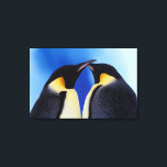 Antarktis, Kaiserpinguine Leinwanddruck<br><div class="desc">COPYRIGHT Art Wolfe / DanitaDelimont.com | AN02 AWO0005.jpg | Antarktis,  Kaiser Penguin (Aptenodytes forsteri),  Erwachsene</div>