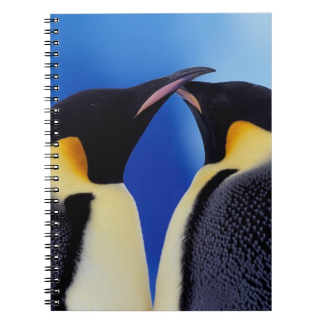 Antarktis, Kaiserpinguine Notizblock (Vorderseite)