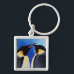 Antarktis, Kaiserpinguine Schlüsselanhänger<br><div class="desc">COPYRIGHT Art Wolfe / DanitaDelimont.com | AN02 AWO0005.jpg | Antarktis,  Kaiser Penguin (Aptenodytes forsteri),  Erwachsene</div>