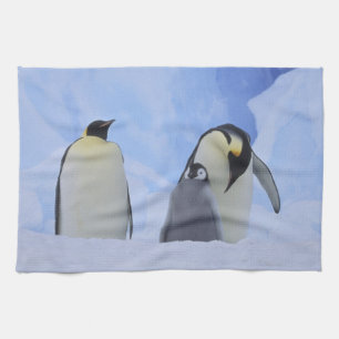 Antarktis. Kaiserpinguine und Küken Handtuch