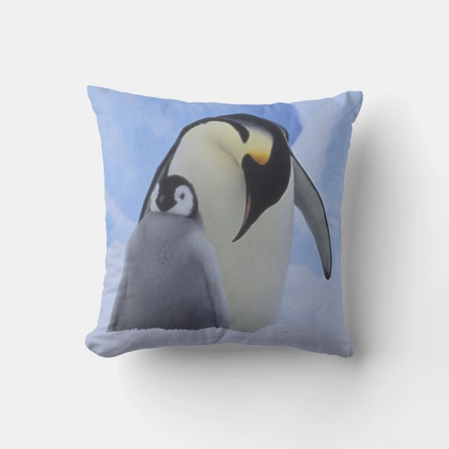 Antarktis. Kaiserpinguine und Küken Kissen (Vorderseite)