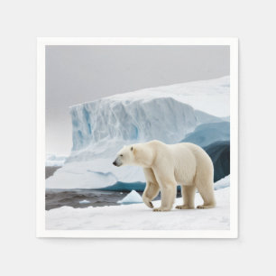 Antarktis Natur Iceberg Außenbereich Landschaft Ru Serviette