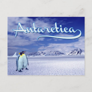 Antarktis Postkarte