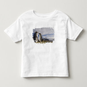 Antarktis, South Georgia Island UK), König Kleinkind T-shirt