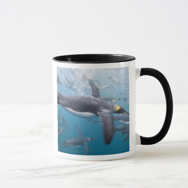 Antarktis, South Georgia Island Vereinigtes Königr Tasse (Rechts)