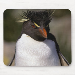 Antarktis, subantarktische Inseln, Süden 5 Mousepad