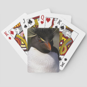 Antarktis, subantarktische Inseln, Süden 5 Spielkarten