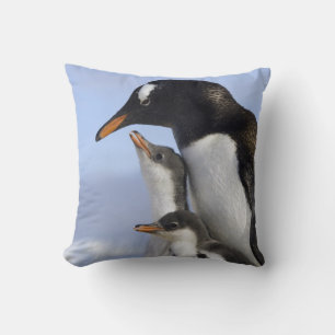 Antarktische Halbinsel, Neko Harbour, Gentoo Kissen
