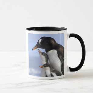 Antarktische Halbinsel, Neko Harbour, Gentoo Tasse
