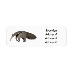 Anteater-Cartoon-Abbildung