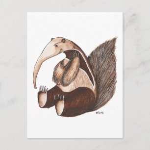 Anteater Postkarte