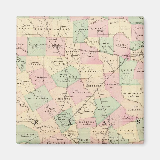Anteil Texas Magnet (Vorne)