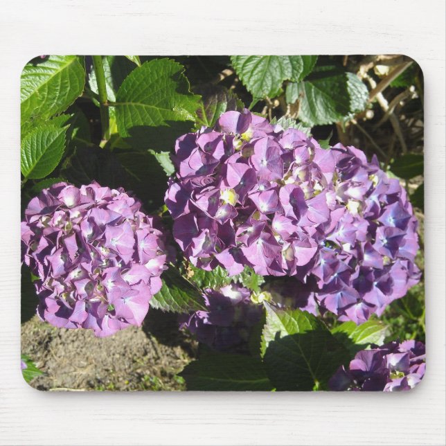 Anteile der Lila Hydrangea Mousepad (Vorne)