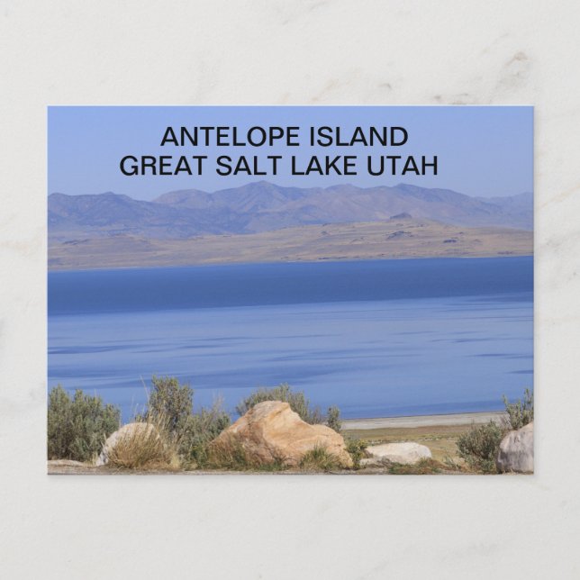 Antelope Island Great Salt Lake in Utah Carte post (Devant)