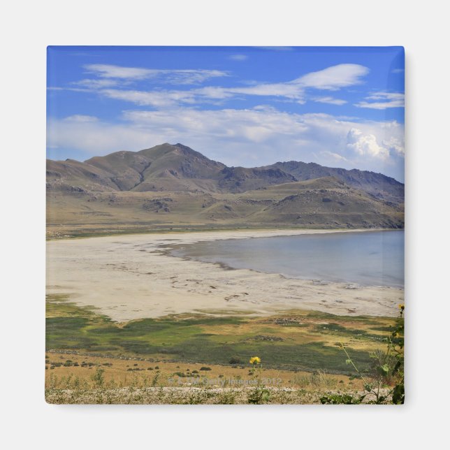Antelope Island Staat Park, Great Salt Lake, Magnet (Vorne)