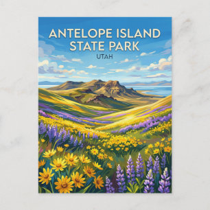 Antelope Island State Park Utah Postkarte