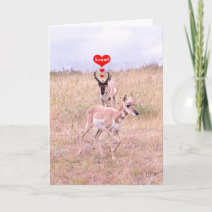 Antelope Liebe Card Feiertagskarte