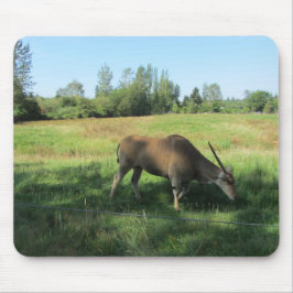 Antelope Mousepad
