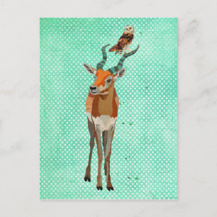 ANTELOPE & OWL Postkarte