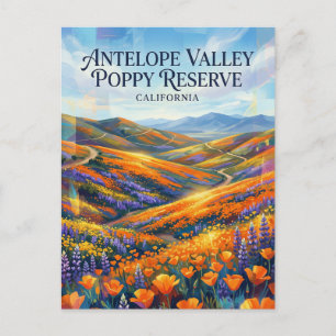 Antelope Valley Kalifornien Mohn-Reservat Postkarte