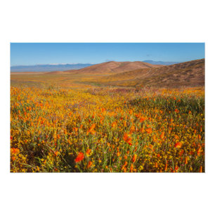 Antelope Valley Poster